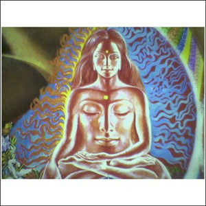 Meet your Posh-pal, Feelhandweight